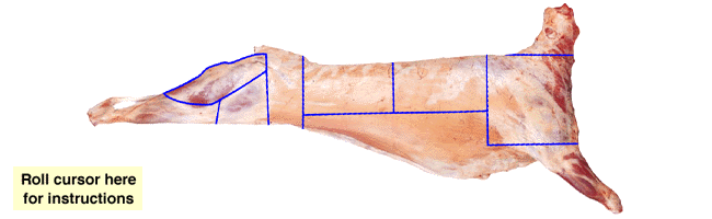 carcase